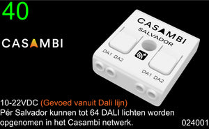 Casambi-Salvador-1000