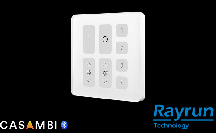 Rayrun CW03-B Touch switch batterij