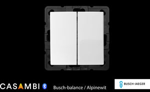 Busch-Balance