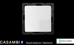 Busch-Balance