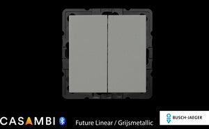 Busch-Jager-Enocean-schakelaar-voor-Casambi-Future-Linear-Grijsmetallic-dubbel