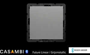 Busch-Jager-Enocean-schakelaar-voor-Casambi-Future-Linear-Grijsmetallic-enkel
