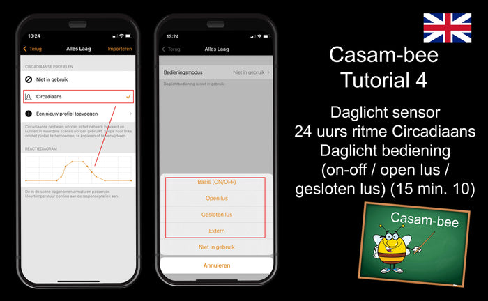 Casam-bee tutorial 4