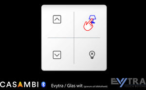 Evytra glass touch switch 230V