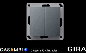 GIRA-Systeem-55-Antraciet-dubbele-wip-Ea4