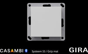 GIRA-Systeem-55-Grijs-mat-enkele-wip-Ea10