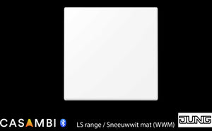Jung Enocean LS serie BLELS990WWM-Eb6