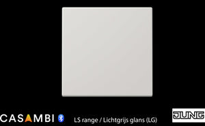 Jung Enocean LS serie BLELS990LG-Eb10