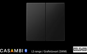 Jung Enocean LS serie BLELS995SW-Eb3